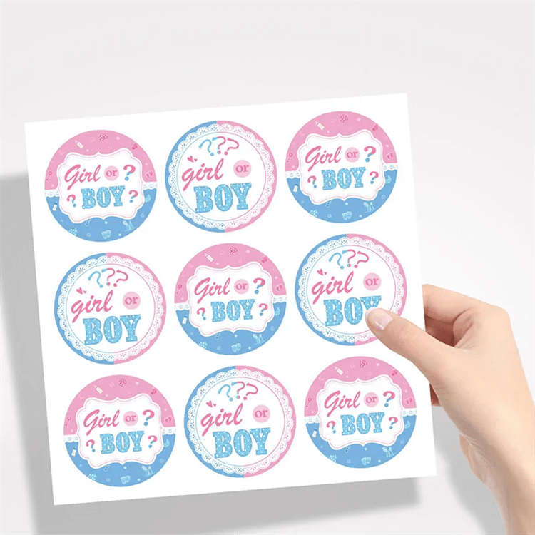 Gender Reveal 12 Pcs Paper Party Bag - iKids